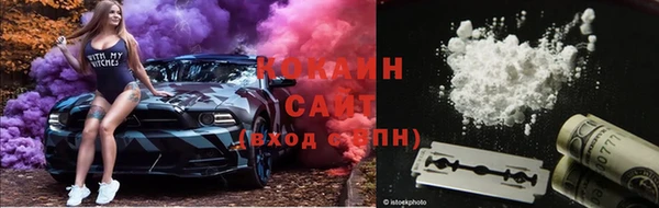 винт Лагань