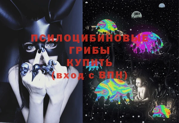 винт Лагань