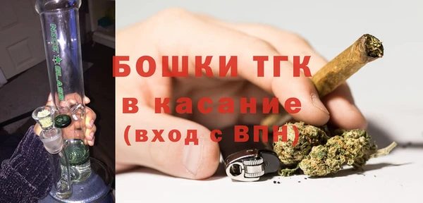 винт Лагань