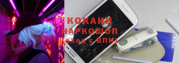 дмт Лабытнанги