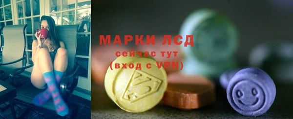винт Лагань