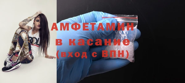винт Лагань