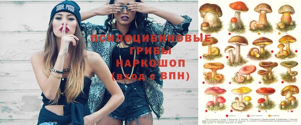 дмт Лабытнанги