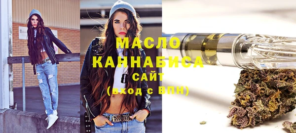 дмт Лабытнанги