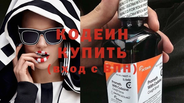 винт Лагань