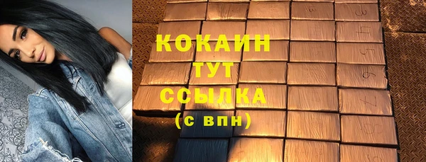винт Лагань