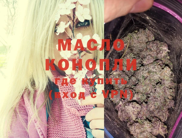 дмт Лабытнанги