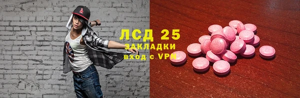 винт Лагань