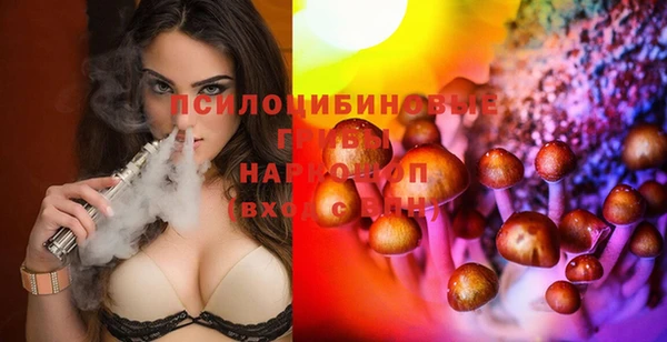 дмт Лабытнанги