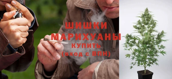 дмт Лабытнанги